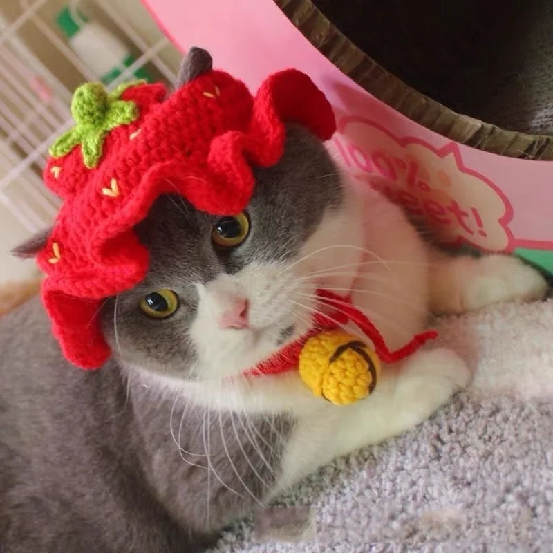 Pet Knitted Headgear Cats Dogs Knitted Hats cospaly Props Cute Headwear Funny Transformer Clothing