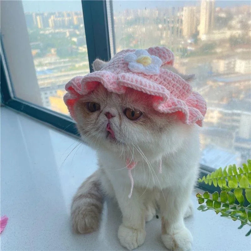 Pet Knitted Headgear Cats Dogs Knitted Hats cospaly Props Cute Headwear Funny Transformer Clothing