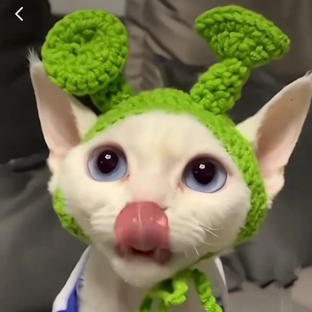 Pet Knitted Headgear Cats Dogs Knitted Hats cospaly Props Cute Headwear Funny Transformer Clothing