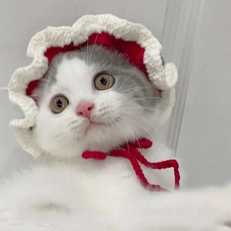 Pet Knitted Headgear Cats Dogs Knitted Hats cospaly Props Cute Headwear Funny Transformer Clothing